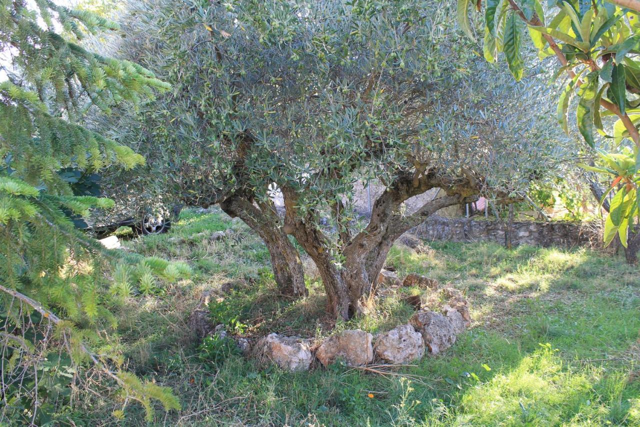 Casa Rural Baobab Romancos Luaran gambar