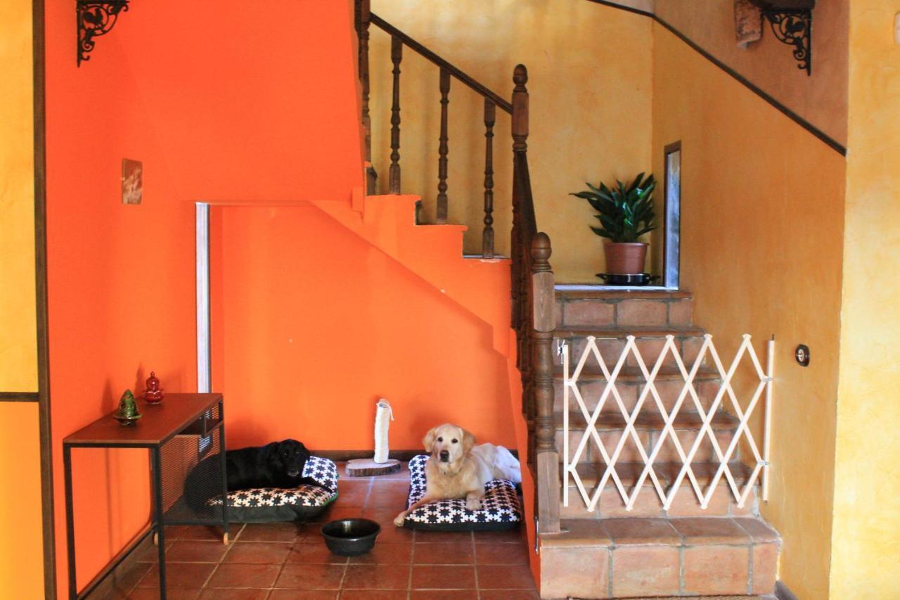 Casa Rural Baobab Romancos Luaran gambar
